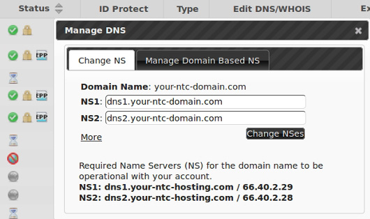 Register your own name servers with NTC Hosting