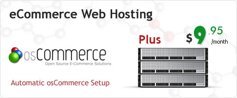Ecommerce Website Builder And Hosting