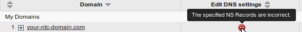 Domain with wrong DNS settings