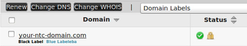 How to update a domain's name server via the NTC Hosting Control Panel