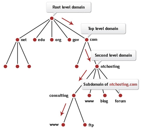 DNS  Domain Name System