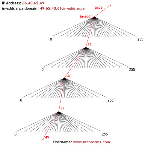 Reverse DNS Lookup - ®